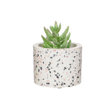 Load image into Gallery viewer, Terrazzo Planter - Small
