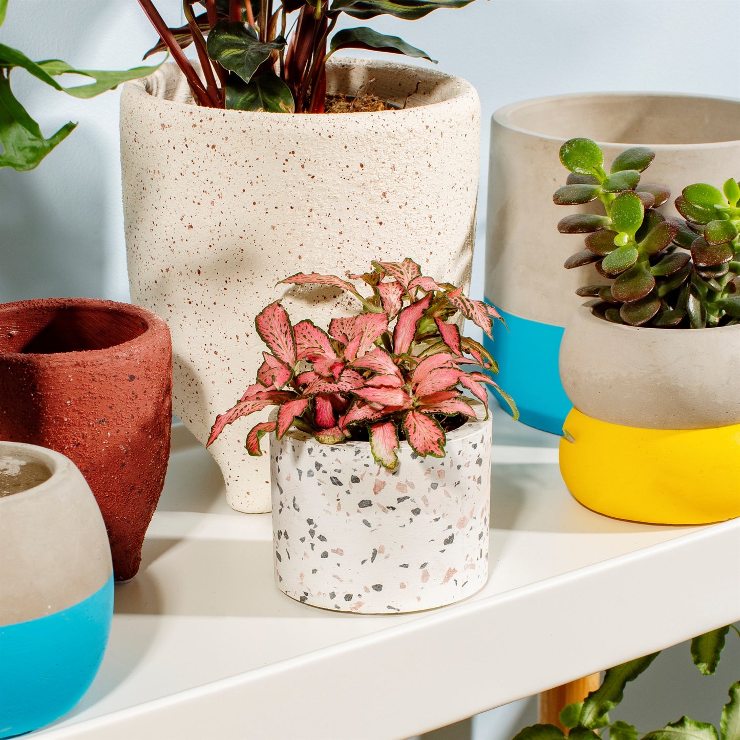 Terrazzo Potje - Klein