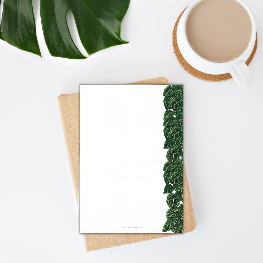 Notepad - Anthurium Clarinervium A6