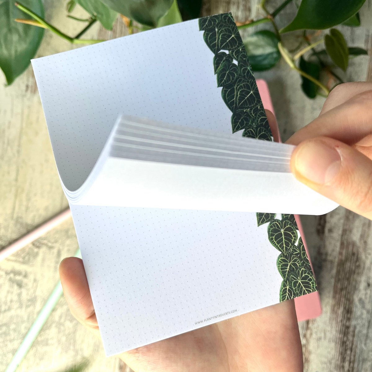 Notepad - Anthurium Clarinervium A6