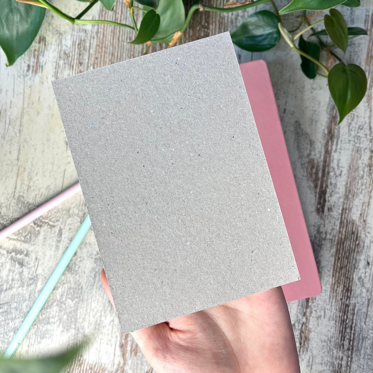 Notepad - Anthurium Clarinervium A6
