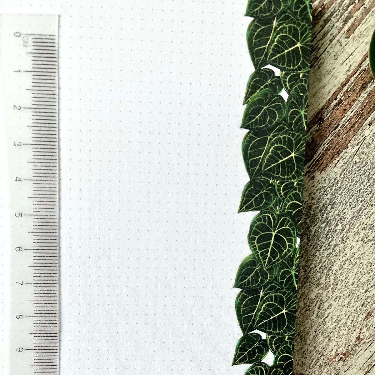 Notepad - Anthurium Clarinervium A6