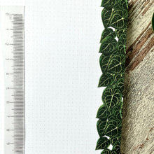 Afbeelding in Gallery-weergave laden, Notitieblokje - Anthurium Clarinervium A6
