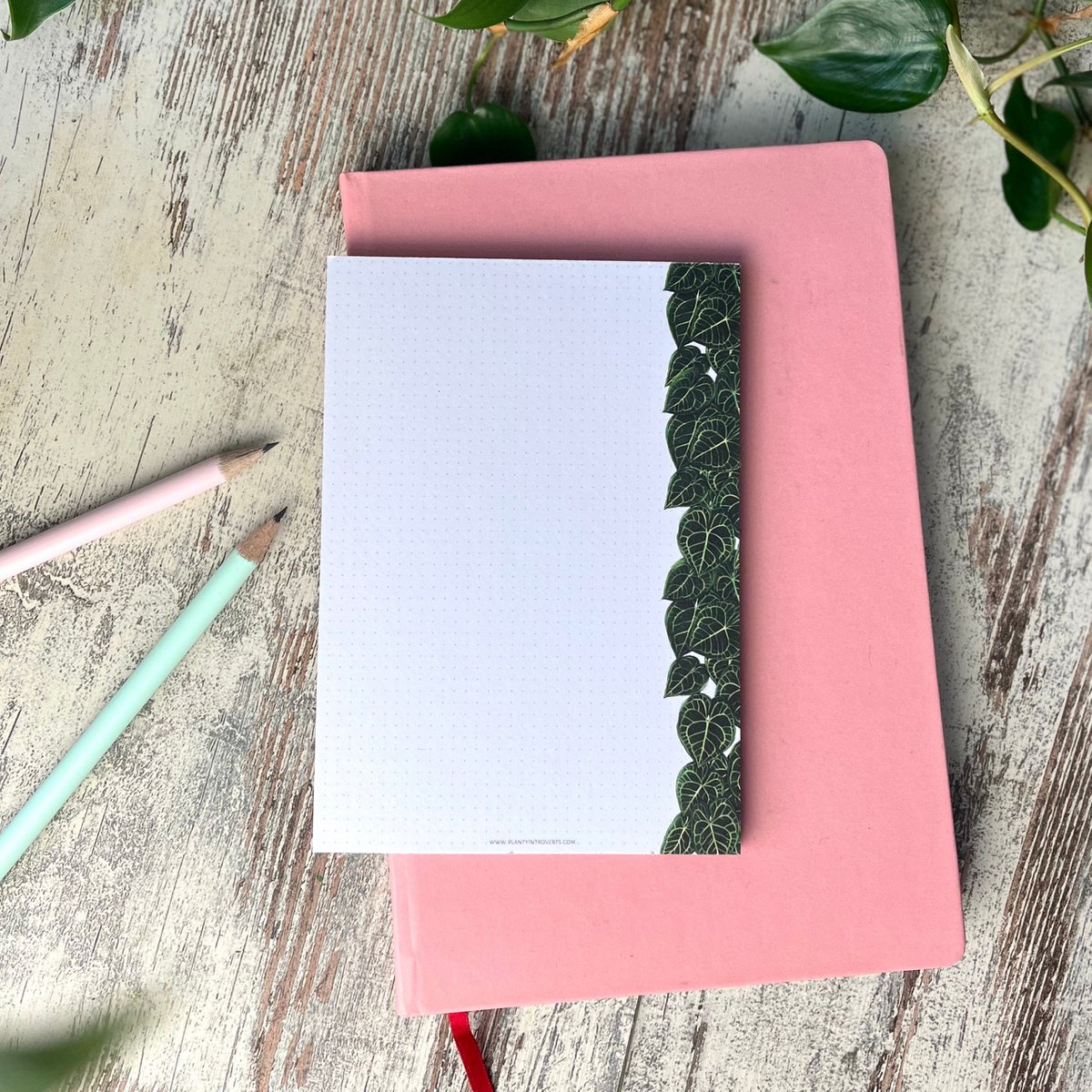 Notepad - Anthurium Clarinervium A6