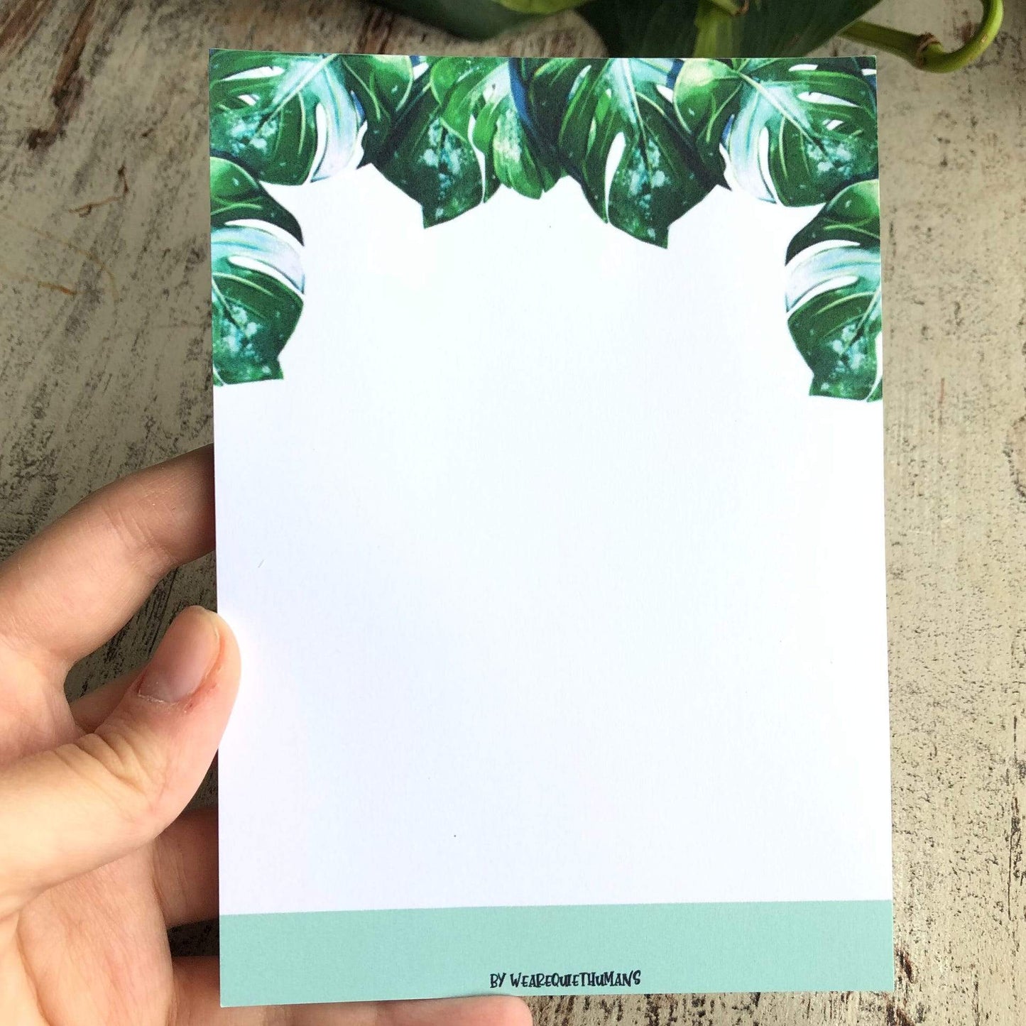 Notepad - Monstera Variegata A6