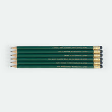 Load image into Gallery viewer, Pencil Set - Plant Addict
