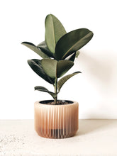Afbeelding in Gallery-weergave laden, Bloempot pot planter biodegradeble ecodesign 3d print
