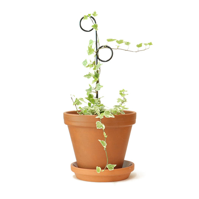 Plantensteun Mini - Perch - Zwart
