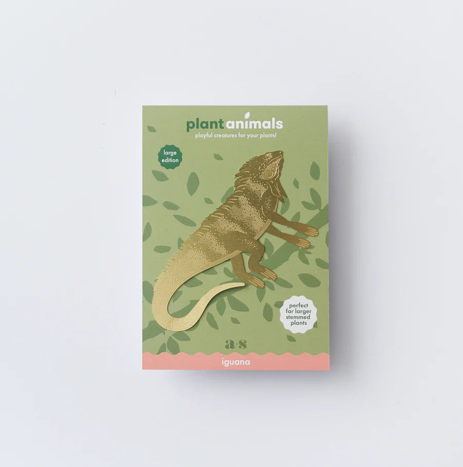 Plant Animal XL - Iguana