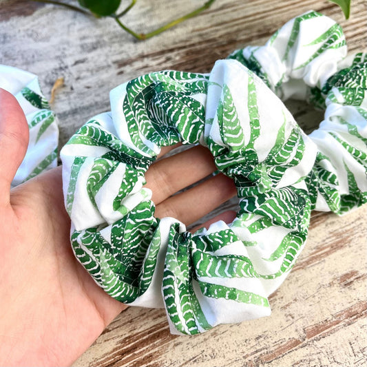 Scrunchie - Haworthia