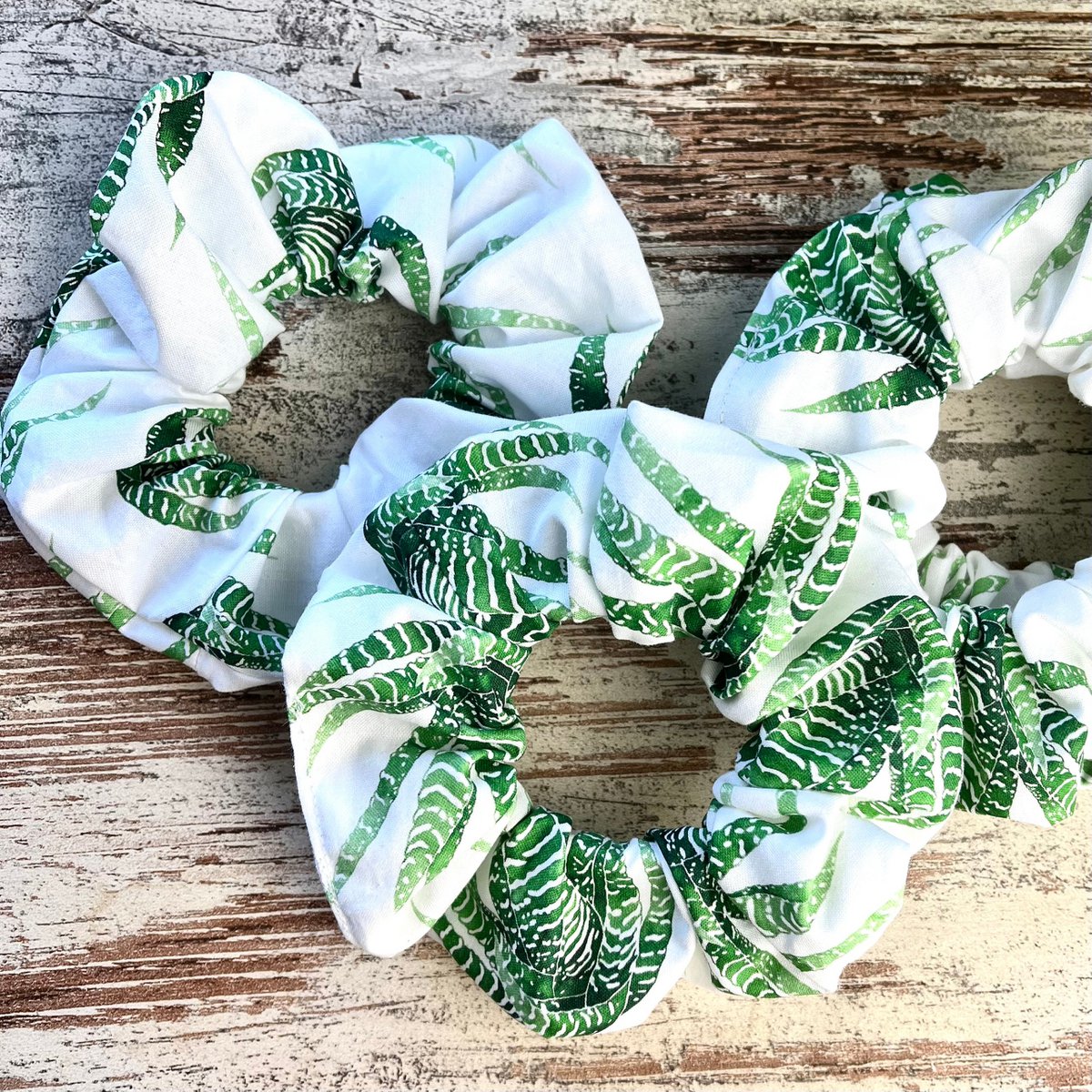 Scrunchie - Haworthia