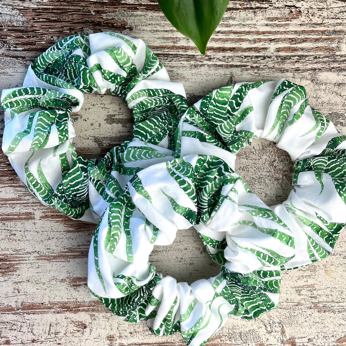 Scrunchie - Haworthia