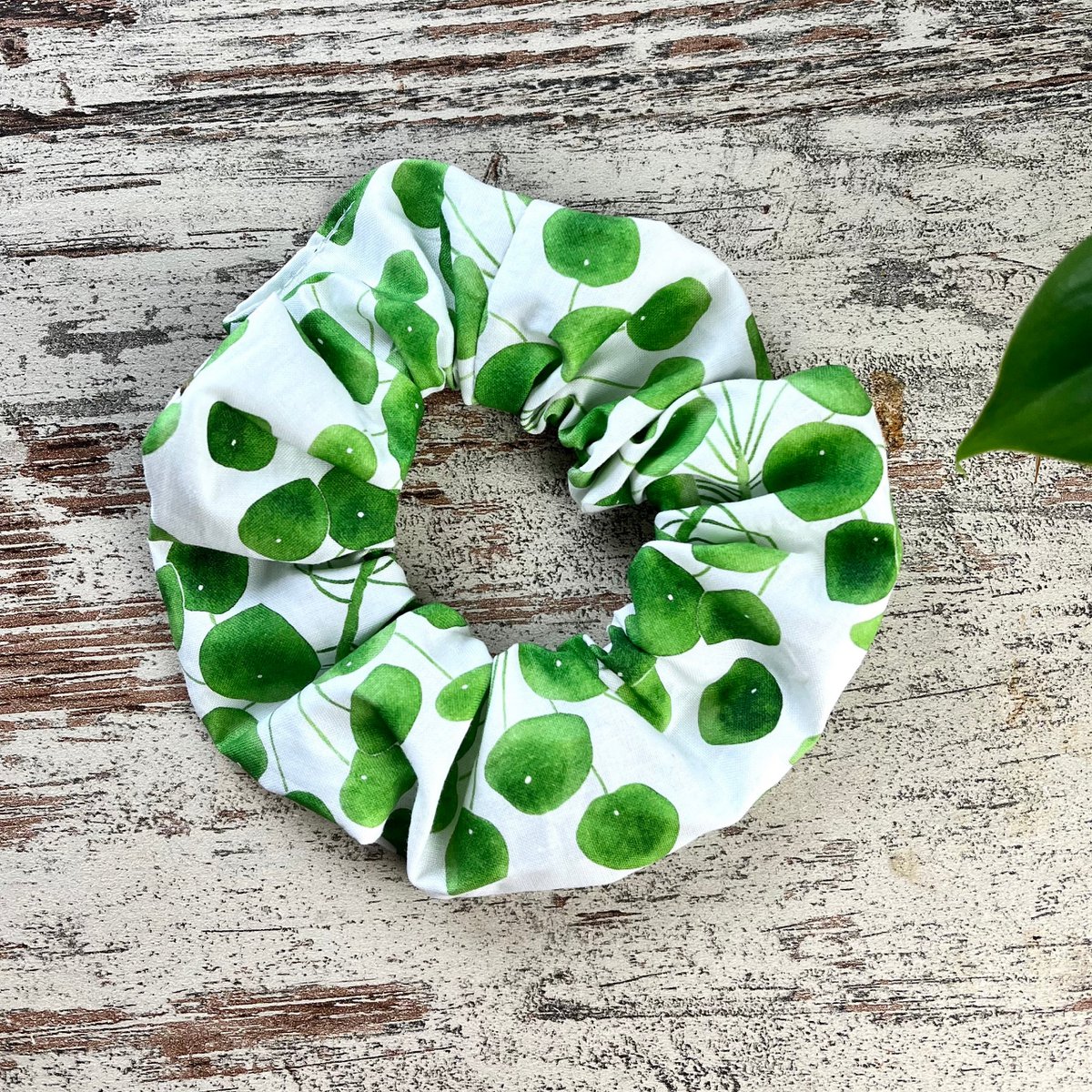Scrunchie - Pilea