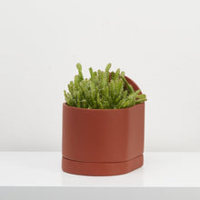 Load image into Gallery viewer, Sol Planter - Terracotta
