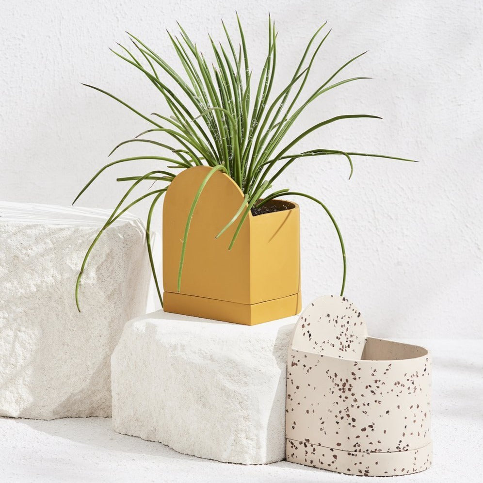 Sol Pot - Fossil Terrazzo