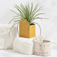 Load image into Gallery viewer, Sol Planter - Fossil Terrazzo
