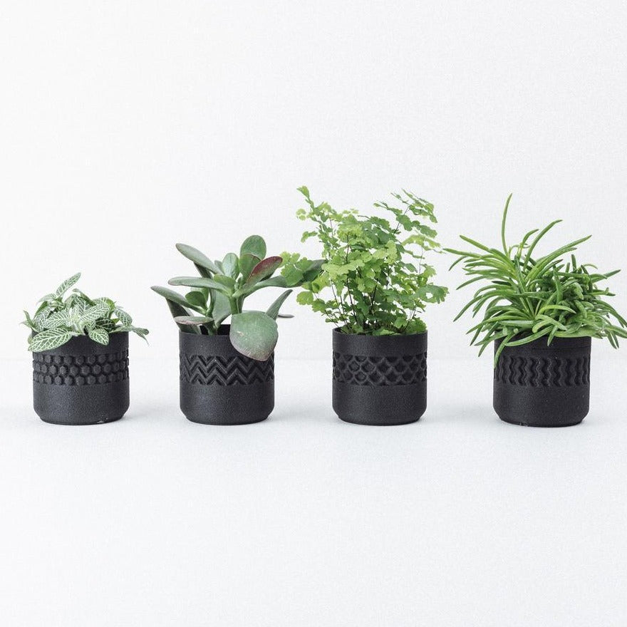 Potjes Set - Stamp Zwart