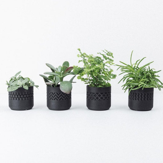 Potjes Set - Stamp Zwart