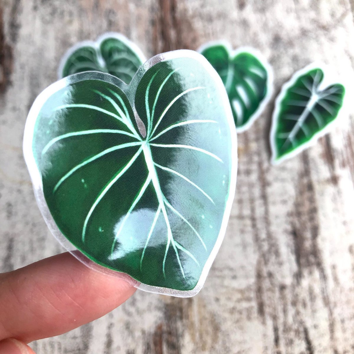 Sticker - Gloriosum Clear