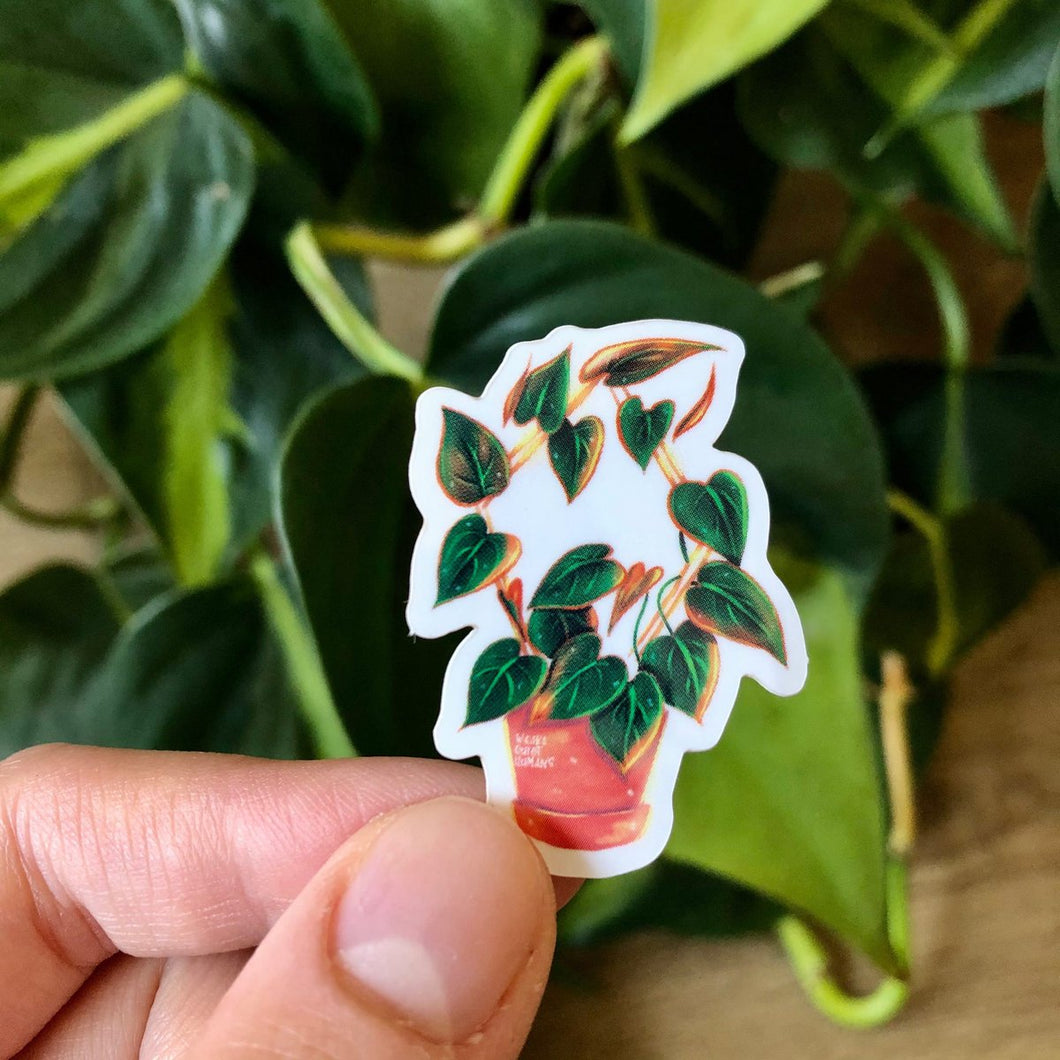 Sticker - Philodendron Micans