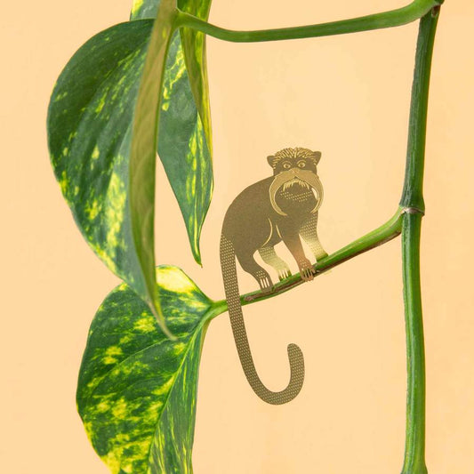 Plantendiertje - Tamarin Aapje