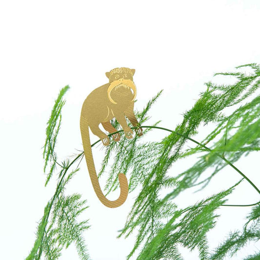 Plantendiertje - Tamarin Aapje