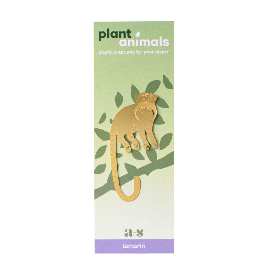 Plantendiertje - Tamarin Aapje