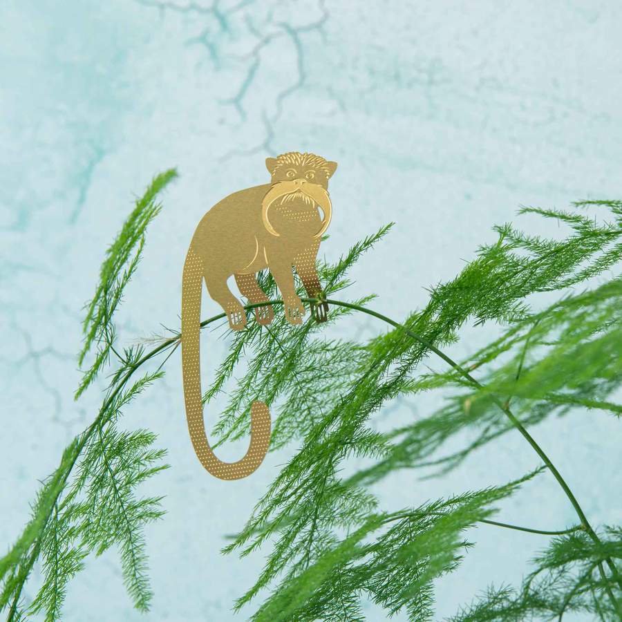 Plantendiertje - Tamarin Aapje