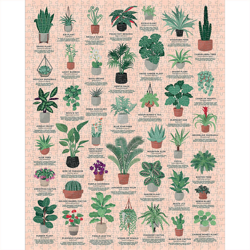 Puzzel - Ridley's Kamerplanten