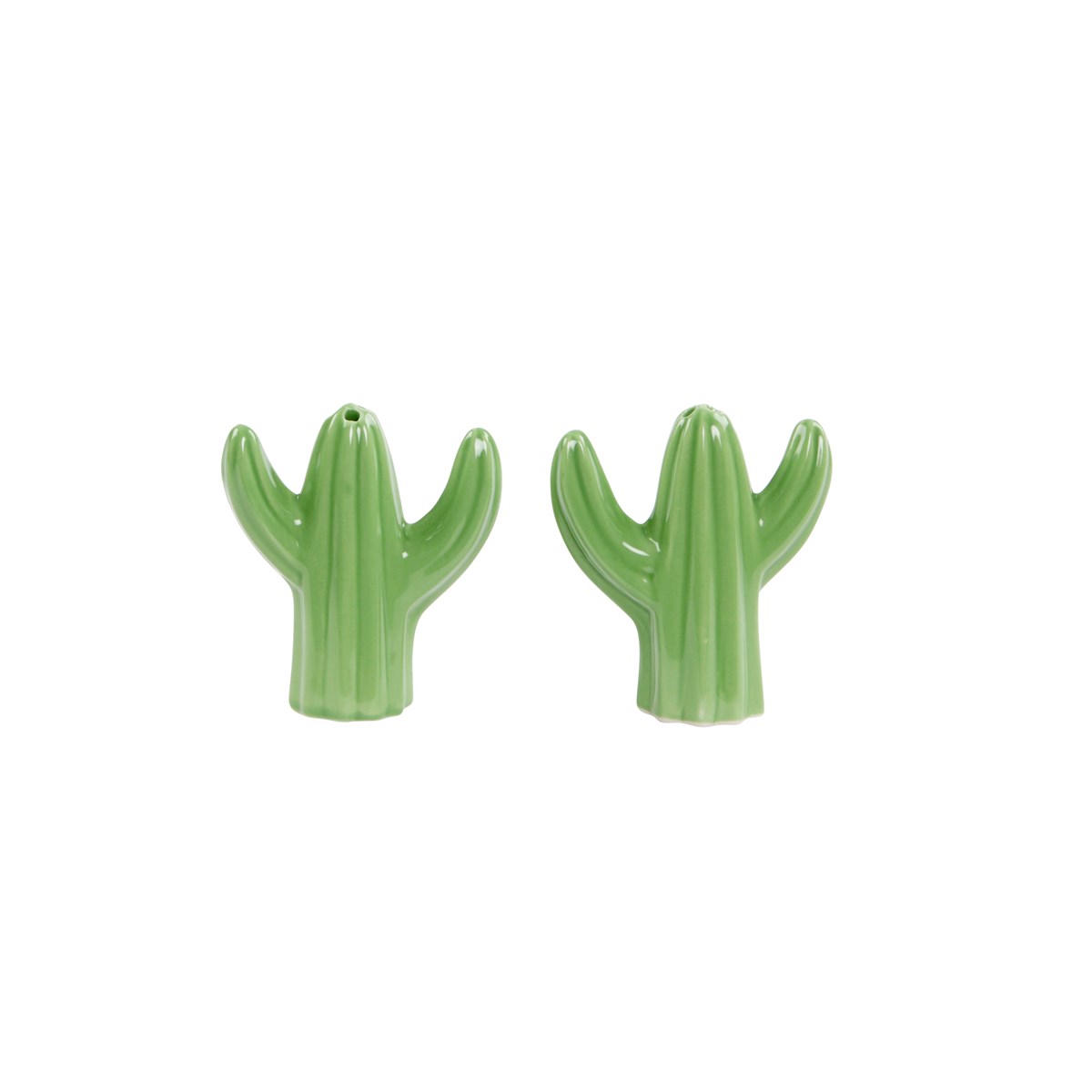 zout en peper set planten cactus plants plantlovers