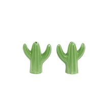 Load image into Gallery viewer, zout en peper set planten cactus plants plantlovers
