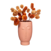 Load image into Gallery viewer, Face Vase - Matt Pink
