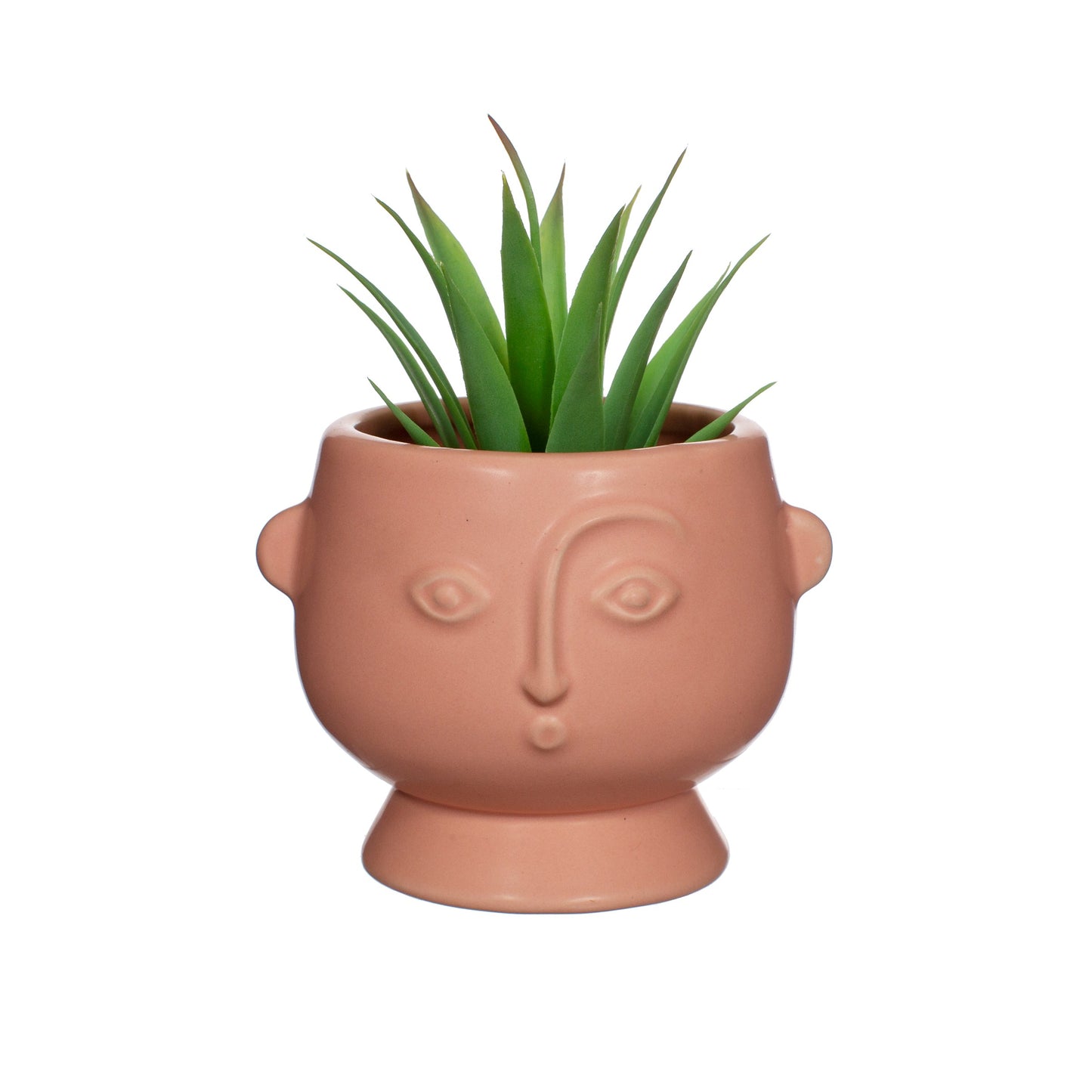 Roze Pot met Gezicht - Small