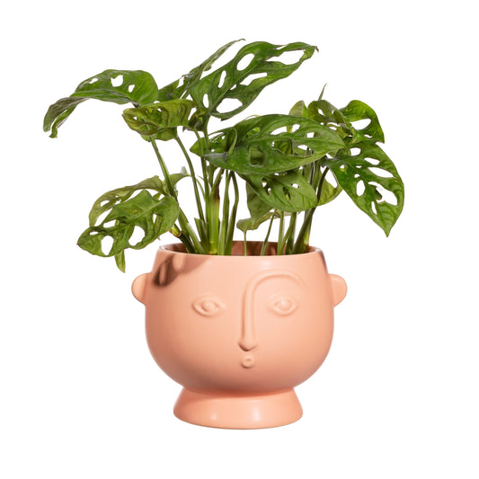 Roze Pot met Gezicht - Large