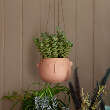 Load image into Gallery viewer, Pink Face Hanging Planter
