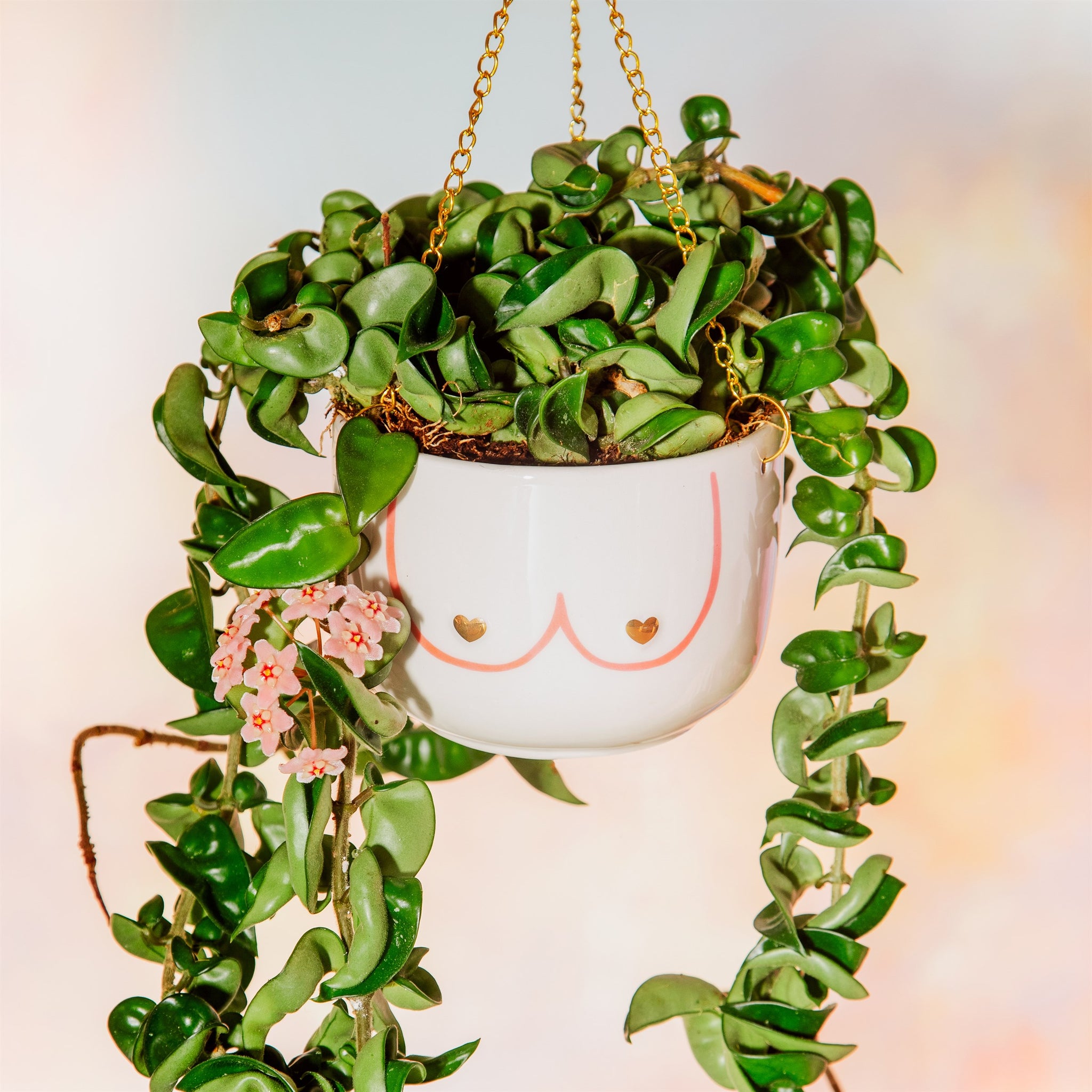 Girl Power Boobies Hanging Planter | Sass&Belle | FoliFolia