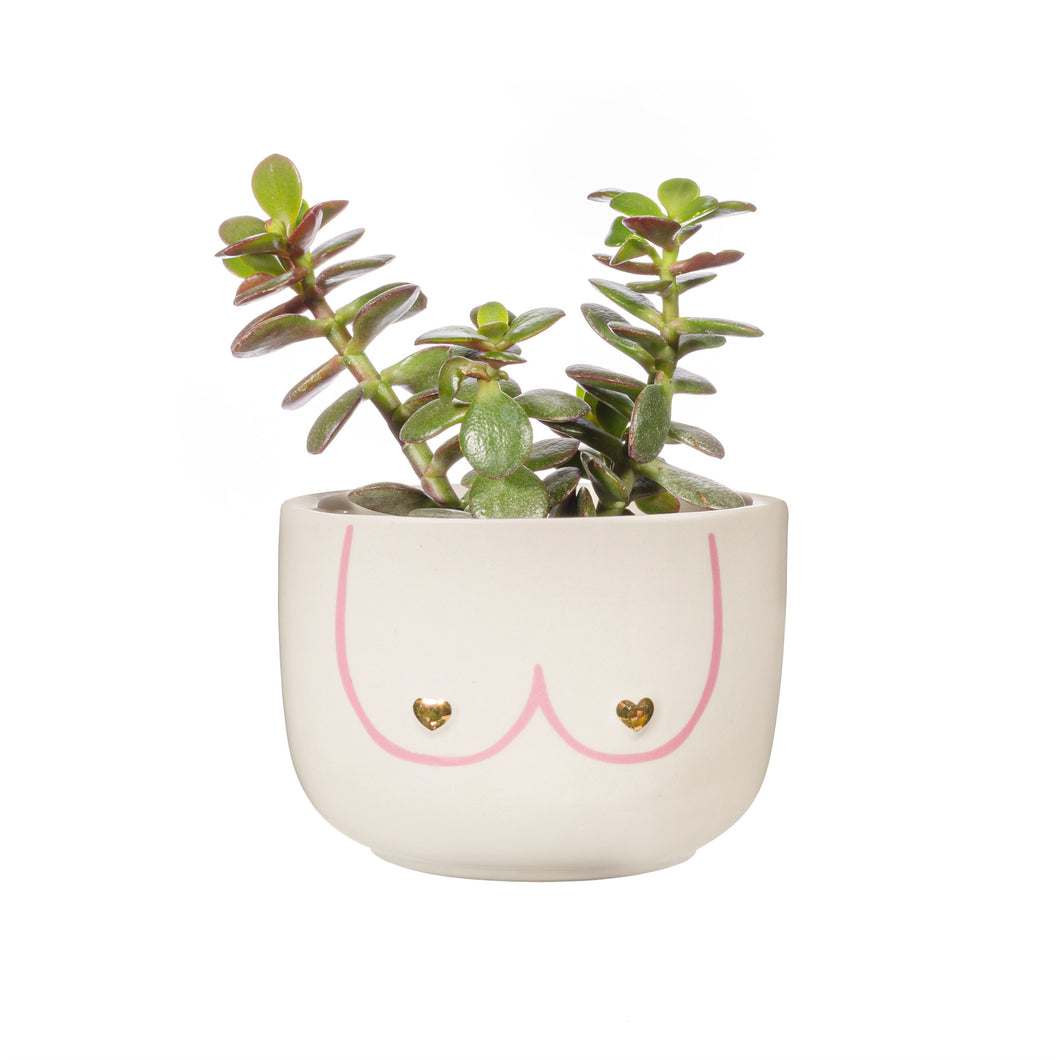 Girl Power Boobies Planter - Large