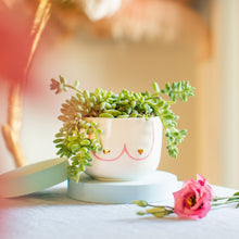 Load image into Gallery viewer, Girl Power Boobies Planter - Large
