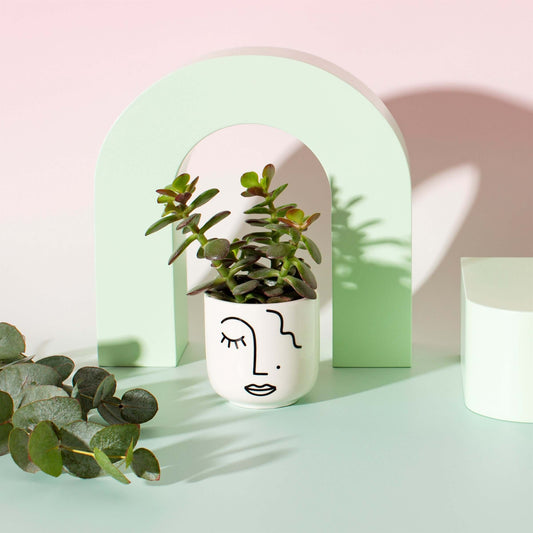 planter pot bloempot gezicht