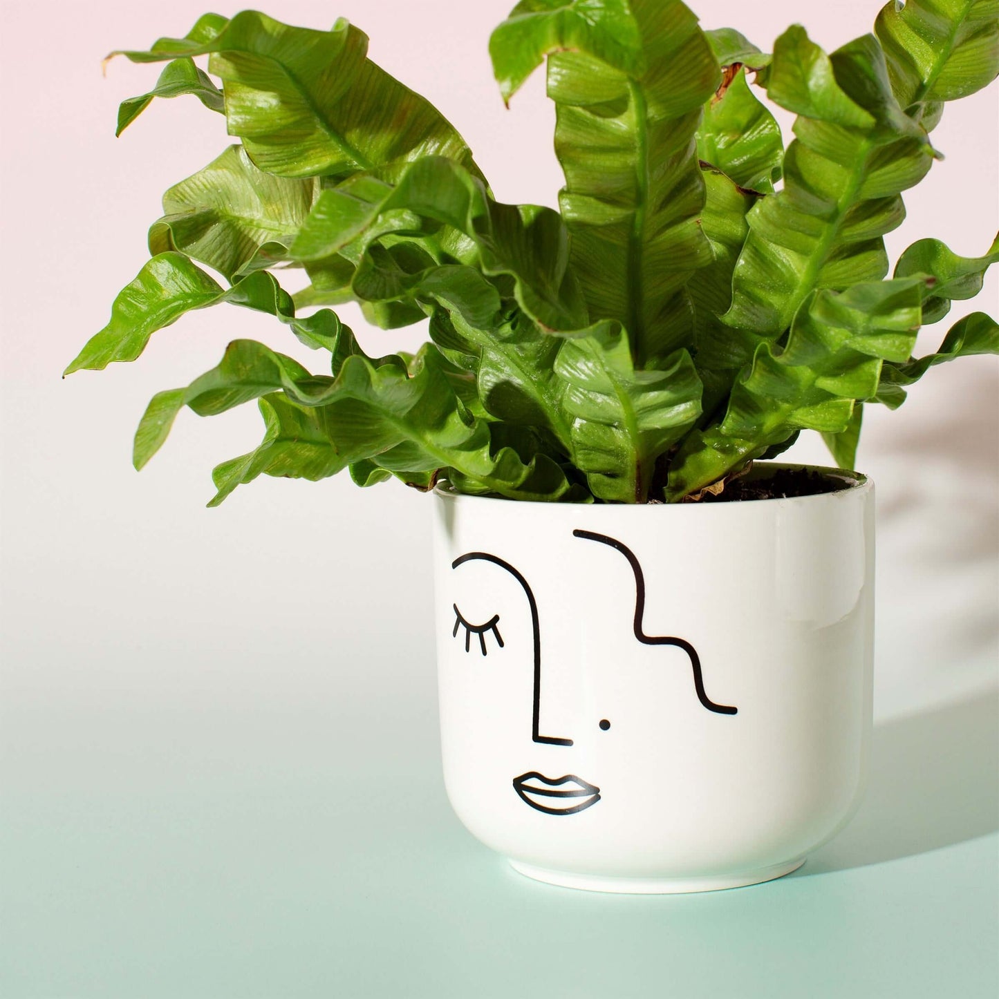 planter pot bloempot gezicht