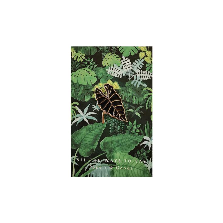 pin plant plants planten badge cactus vetplant succulent