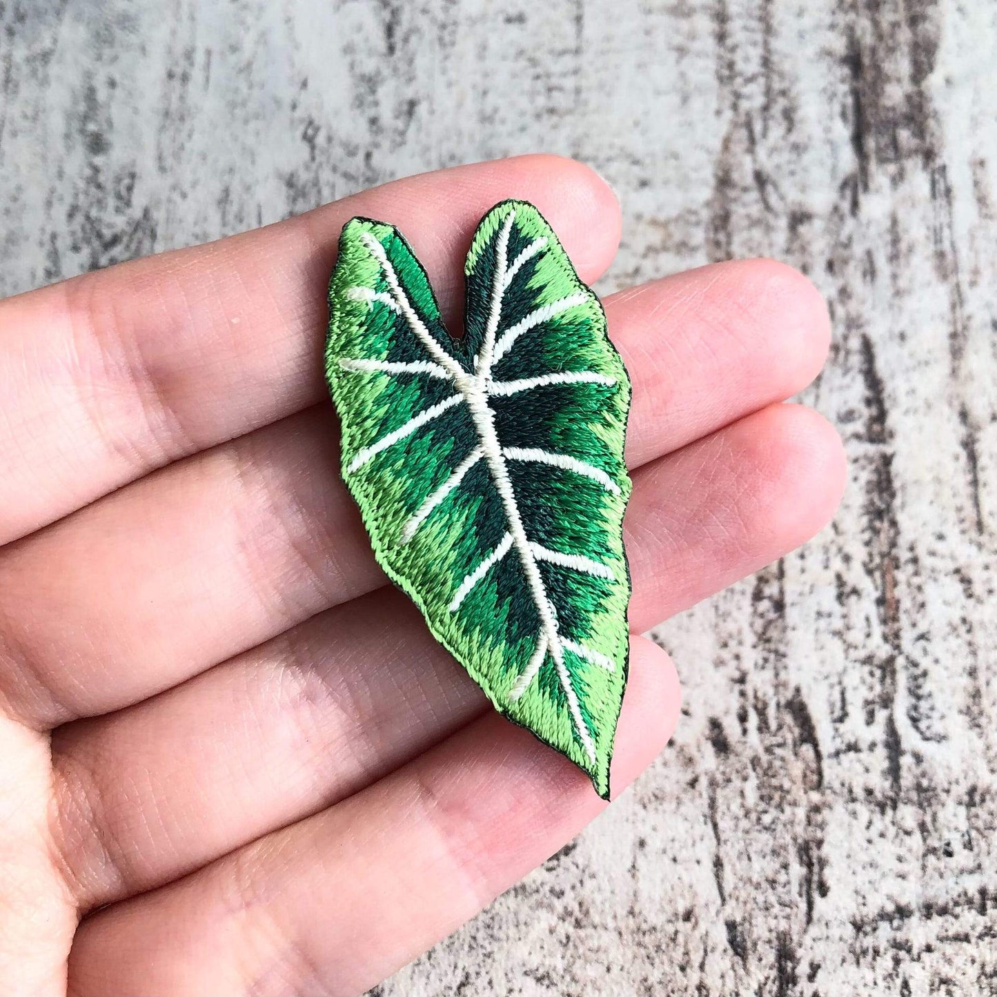 Strijkembleem - Alocasia Frydek
