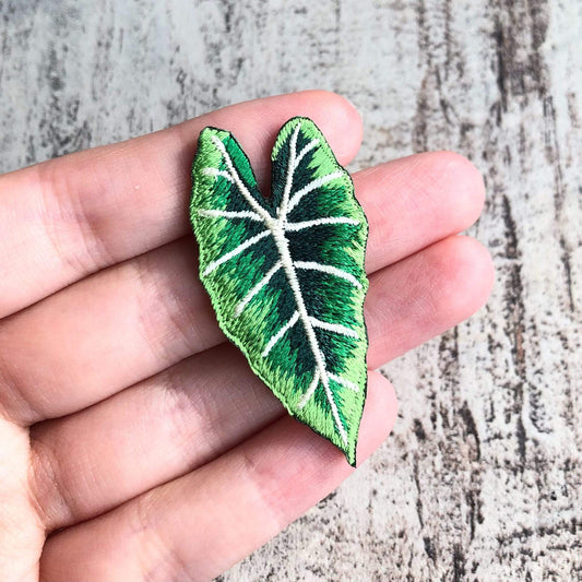 Strijkembleem - Alocasia Frydek