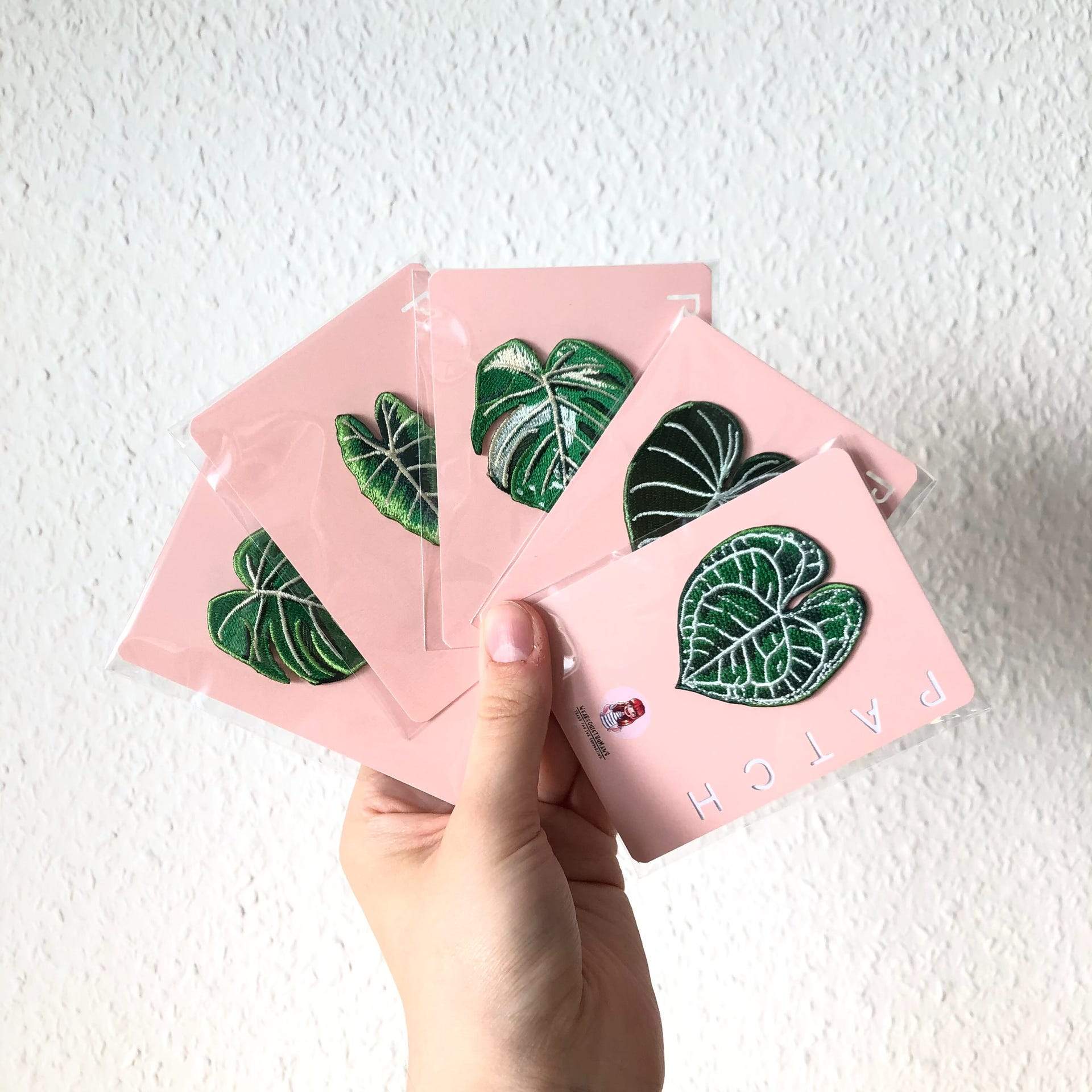 iron on patch - monstera variegata