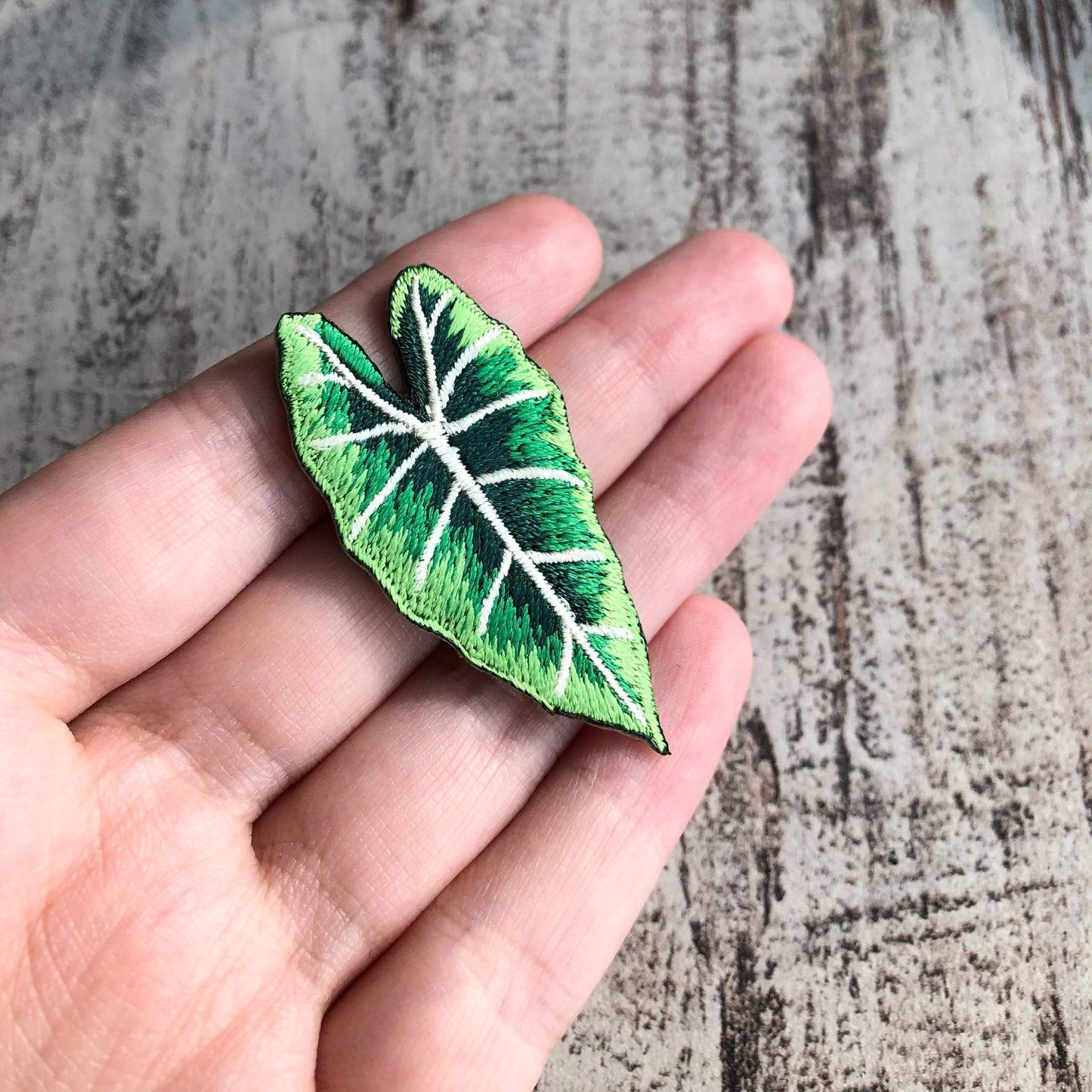 Strijkembleem - Alocasia Frydek