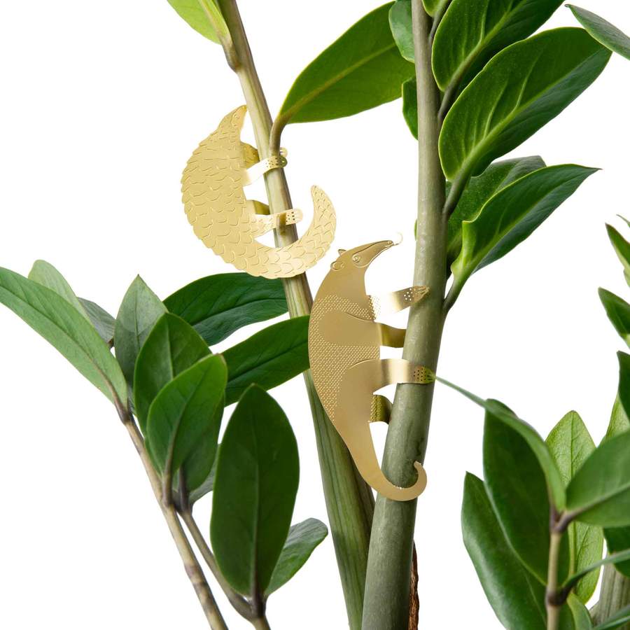 Plant Animal - Anteater