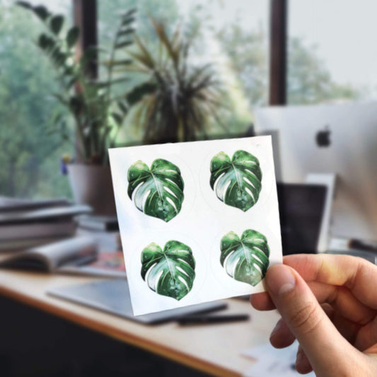 Stickers - Monstera Variegata