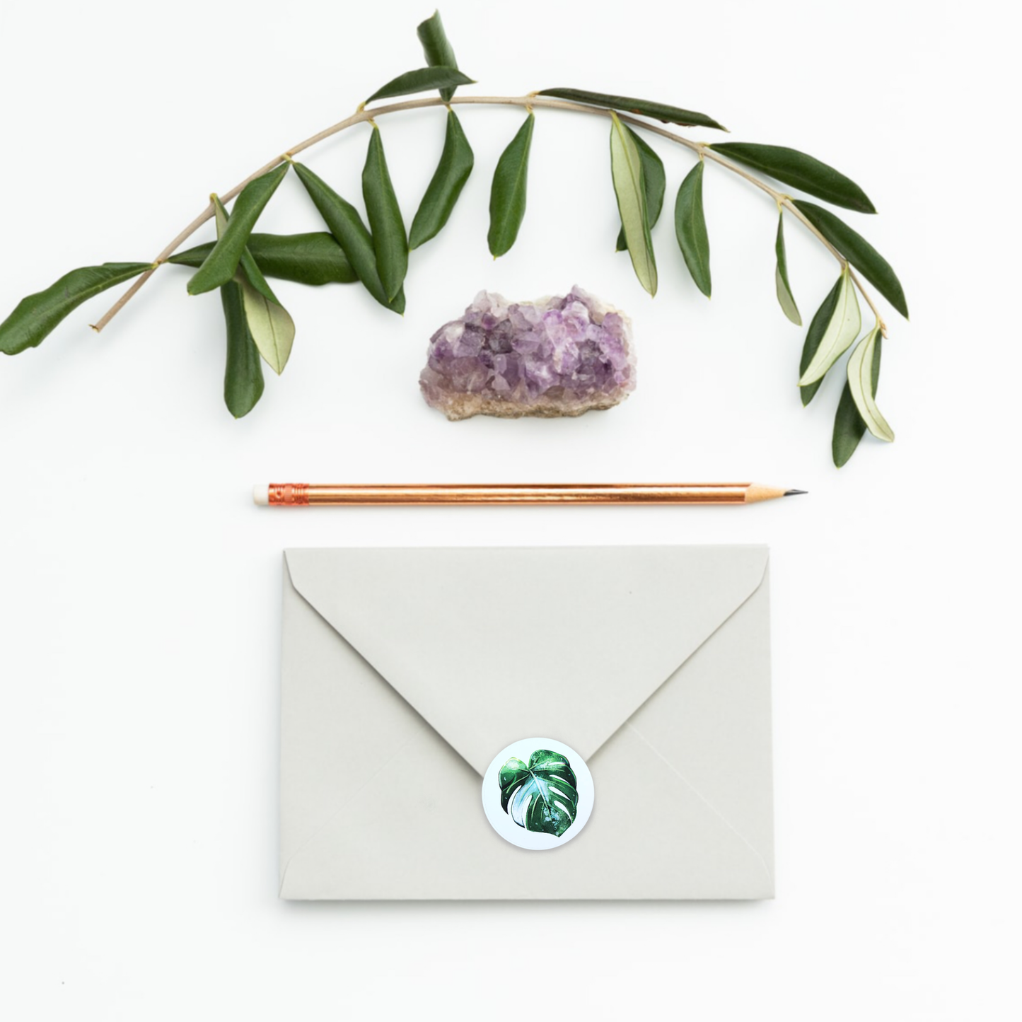 Stickers - Monstera Variegata