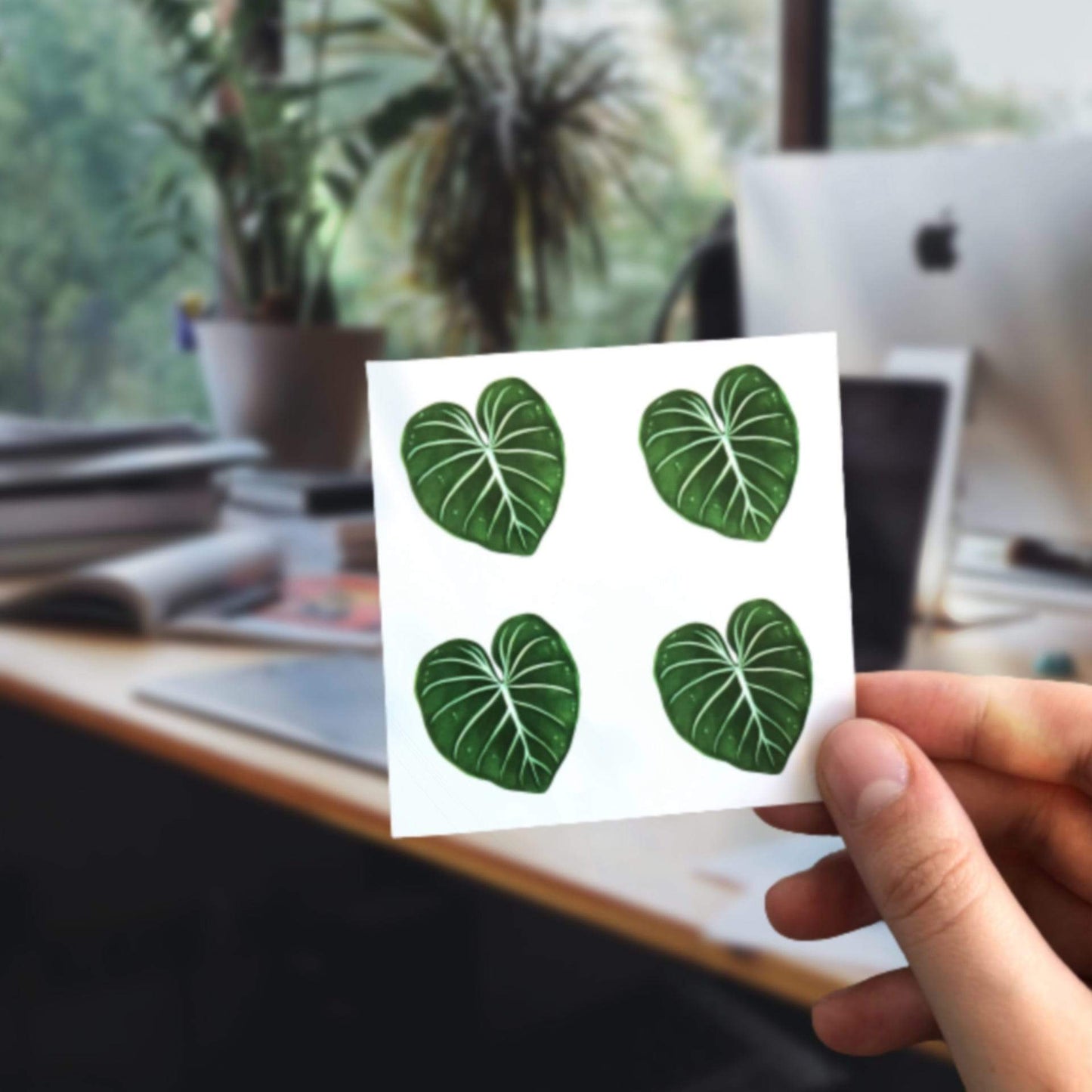 Stickers - Philodendron Gloriosum