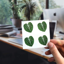 Load image into Gallery viewer, Stickers - Philodendron Gloriosum
